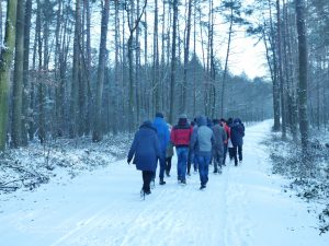 Grupa zwiedza. Zimowa aura. Idą drogą w lesie.